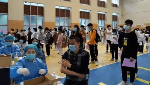 杨一凡案件爆料最新消息,揭秘背后惊人内幕  第3张